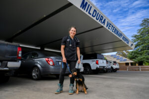 Burnout fears over chronic vet shortage