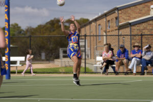 Magpies fly past Lions