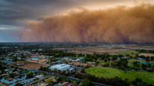 Dust-up over responsibility for Mallee dust storms