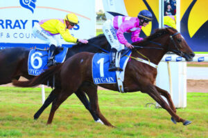 Bet ‘House’ in Cup