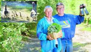 Natural goodness the key at Bawdens