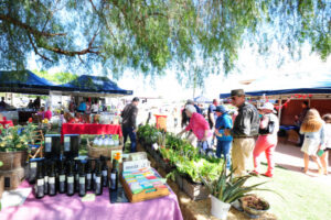 Cardross Spring Show called off