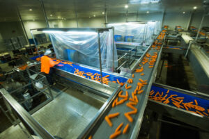 de Pieri: Lamattinas’ biggest kick comes from family business