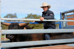 A day in the life of a livestock contractor
