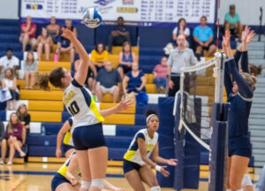 New stadium to put Mildura on the volleyball map, says local star