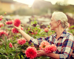 Sunraysia to lead new dementia initiative