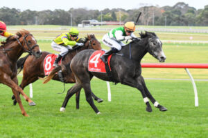 Payne stable pins hopes on Hilton