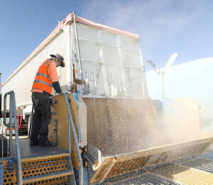‘Record’ crop defying odds