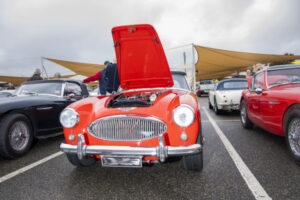 Classic brit roadsters on show
