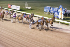 Full card for harness meet