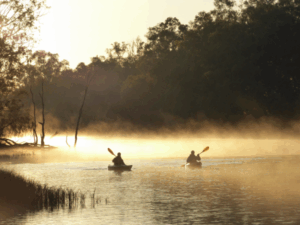 Tourism ideas dry up in Vic, as SA reels in thousands