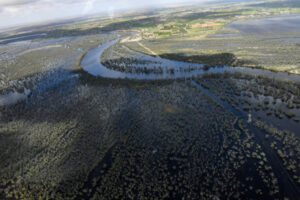 Receding flood reveals human remains
