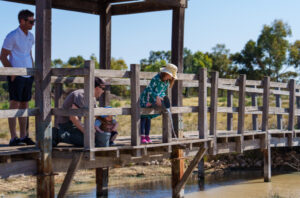 Lifeline for endangered fish