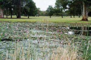 Golf club’s drive to return to normal