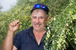 Varapodio Estate goes from from boundary trees to good oil