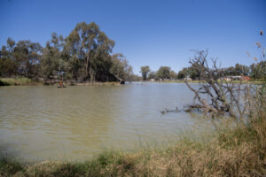 The state of the river
