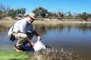 Return of life at wetlands