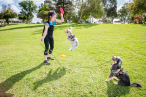 Pup’s new leash of life
