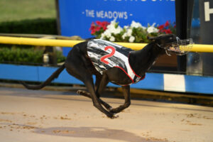 Morton set for The Sandgroper in Perth