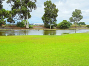 Nichols Point flooded out