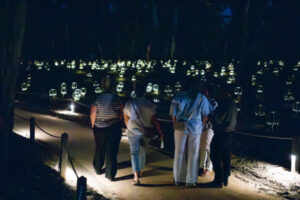 Lights show an economic boost