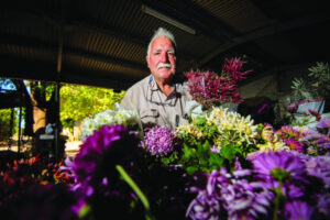 Flower power in full bloom