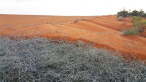 Millewa drought relief projects up for talks