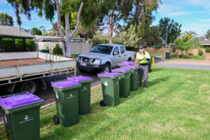 Purple bins show early success