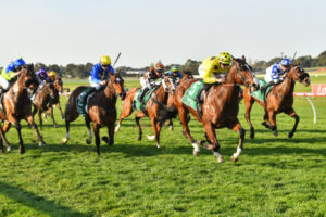 $100,000 bet365 Mildura Cup at Sandilong Park under starter’s orders