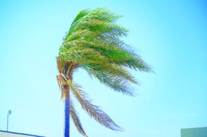 Month’s heat record falls