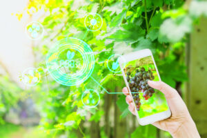 ‘Big picture’ ag boost