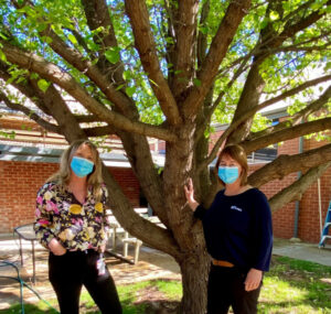 Mallee seeking mental health clinician