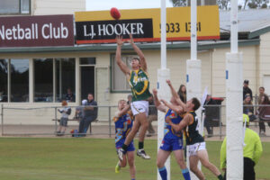 AFL Victoria Community Championships: Sunraysia sit steady despite loss