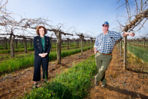ACCC report slams Murray-Darling Basin water trading