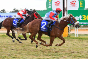 A ‘Fabio’ opportunity