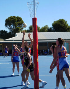 Roos show why they are the competitions benchmark