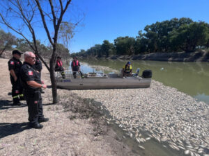 MPs want answers on ‘monumental stuff-up’