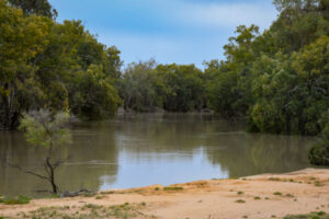 Plantings put pressure on river system, says report