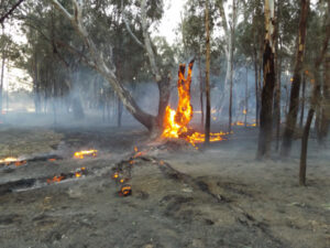 Unattended camp fires remain major worry