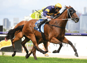 Syndicate goes wild over Planet