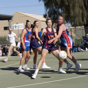 Mighty Roos hold determined Dees