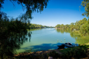 River algae alert, but levels stay low