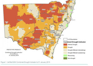 Dry spell continues for drought-affected Pooncarie