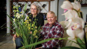 Orchids are a growing passion