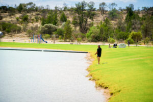 Waterways stocked with silver perch and Murray cod