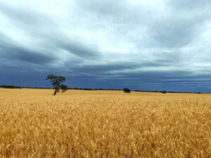 Here comes the rain, again
