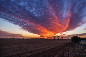 Buloke Shire tackles climate future with 10-year strategy