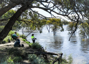 Put fishing on hold