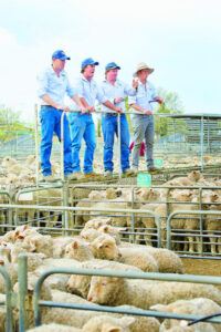 Strong future for industry