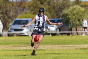 Young Magpies taking flight